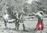 Image of Civilian Conservation Corps United States USA, 1936, second 37 stock footage video 65675074626