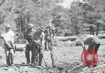 Image of Civilian Conservation Corps United States USA, 1936, second 38 stock footage video 65675074626