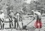 Image of Civilian Conservation Corps United States USA, 1936, second 39 stock footage video 65675074626
