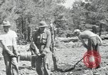 Image of Civilian Conservation Corps United States USA, 1936, second 42 stock footage video 65675074626