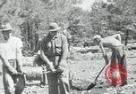 Image of Civilian Conservation Corps United States USA, 1936, second 43 stock footage video 65675074626