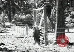 Image of Civilian Conservation Corps United States USA, 1936, second 47 stock footage video 65675074626