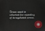 Image of Civilian Conservation Corps United States USA, 1936, second 53 stock footage video 65675074626