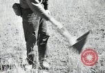 Image of Civilian Conservation Corps United States USA, 1936, second 60 stock footage video 65675074626