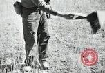 Image of Civilian Conservation Corps United States USA, 1936, second 62 stock footage video 65675074626