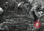 Image of Civilian Conservation Corps constructing roads and bridges United States USA, 1936, second 25 stock footage video 65675074627