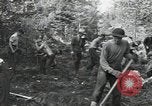 Image of Civilian Conservation Corps constructing roads and bridges United States USA, 1936, second 31 stock footage video 65675074627