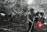 Image of Civilian Conservation Corps constructing roads and bridges United States USA, 1936, second 35 stock footage video 65675074627