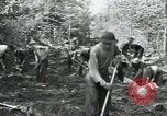 Image of Civilian Conservation Corps constructing roads and bridges United States USA, 1936, second 36 stock footage video 65675074627