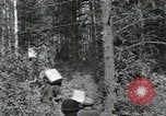 Image of Civilian Conservation Corps fight fire United States USA, 1936, second 53 stock footage video 65675074628