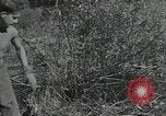 Image of Civilian Conservation Corps United States USA, 1935, second 25 stock footage video 65675074630
