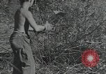 Image of Civilian Conservation Corps United States USA, 1935, second 26 stock footage video 65675074630