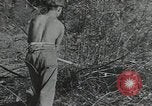 Image of Civilian Conservation Corps United States USA, 1935, second 27 stock footage video 65675074630