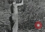 Image of Civilian Conservation Corps United States USA, 1935, second 28 stock footage video 65675074630