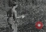 Image of Civilian Conservation Corps United States USA, 1935, second 29 stock footage video 65675074630