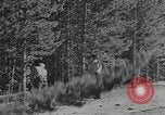 Image of Civilian Conservation Corps United States USA, 1935, second 30 stock footage video 65675074630