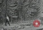 Image of Civilian Conservation Corps United States USA, 1935, second 32 stock footage video 65675074630
