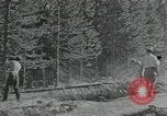 Image of Civilian Conservation Corps United States USA, 1935, second 33 stock footage video 65675074630