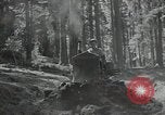 Image of Civilian Conservation Corps United States USA, 1935, second 55 stock footage video 65675074630