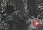 Image of Civilian Conservation Corps United States USA, 1935, second 58 stock footage video 65675074630