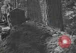 Image of Civilian Conservation Corps United States USA, 1935, second 59 stock footage video 65675074630