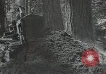 Image of Civilian Conservation Corps United States USA, 1935, second 60 stock footage video 65675074630