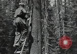 Image Civilian Conservation Corps United States USA, 1935, de la seconde 3 séquences d'archives historiques vidéo 65675074631