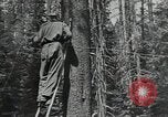 Image Civilian Conservation Corps United States USA, 1935, de la seconde 4 séquences d'archives historiques vidéo 65675074631