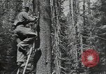 Image Civilian Conservation Corps United States USA, 1935, de la seconde 5 séquences d'archives historiques vidéo 65675074631