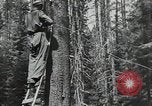 Image Civilian Conservation Corps United States USA, 1935, de la seconde 7 séquences d'archives historiques vidéo 65675074631