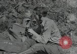 Image Civilian Conservation Corps United States USA, 1935, de la seconde 10 séquences d'archives historiques vidéo 65675074631