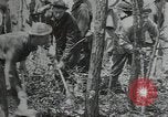 Image Civilian Conservation Corps United States USA, 1935, de la seconde 1 séquences d'archives historiques vidéo 65675074632
