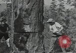 Image Civilian Conservation Corps United States USA, 1935, de la seconde 5 séquences d'archives historiques vidéo 65675074632