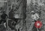 Image Civilian Conservation Corps United States USA, 1935, de la seconde 6 séquences d'archives historiques vidéo 65675074632