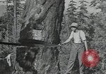 Image Civilian Conservation Corps United States USA, 1935, de la seconde 7 séquences d'archives historiques vidéo 65675074632