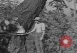 Image Civilian Conservation Corps United States USA, 1935, de la seconde 8 séquences d'archives historiques vidéo 65675074632
