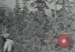 Image Civilian Conservation Corps United States USA, 1935, de la seconde 9 séquences d'archives historiques vidéo 65675074632