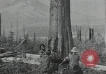Image Civilian Conservation Corps United States USA, 1935, de la seconde 14 séquences d'archives historiques vidéo 65675074632