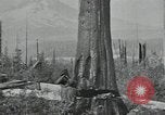 Image Civilian Conservation Corps United States USA, 1935, de la seconde 15 séquences d'archives historiques vidéo 65675074632