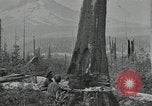 Image Civilian Conservation Corps United States USA, 1935, de la seconde 16 séquences d'archives historiques vidéo 65675074632