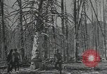 Image Civilian Conservation Corps United States USA, 1935, de la seconde 20 séquences d'archives historiques vidéo 65675074632