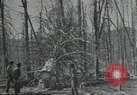 Image Civilian Conservation Corps United States USA, 1935, de la seconde 21 séquences d'archives historiques vidéo 65675074632