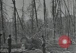 Image Civilian Conservation Corps United States USA, 1935, de la seconde 23 séquences d'archives historiques vidéo 65675074632