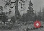 Image Civilian Conservation Corps United States USA, 1935, de la seconde 24 séquences d'archives historiques vidéo 65675074632