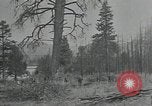 Image Civilian Conservation Corps United States USA, 1935, de la seconde 25 séquences d'archives historiques vidéo 65675074632