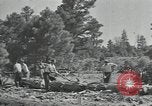 Image Civilian Conservation Corps United States USA, 1935, de la seconde 30 séquences d'archives historiques vidéo 65675074632