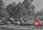 Image Civilian Conservation Corps United States USA, 1935, de la seconde 31 séquences d'archives historiques vidéo 65675074632