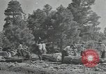 Image Civilian Conservation Corps United States USA, 1935, de la seconde 32 séquences d'archives historiques vidéo 65675074632