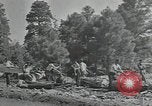 Image Civilian Conservation Corps United States USA, 1935, de la seconde 33 séquences d'archives historiques vidéo 65675074632
