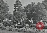 Image Civilian Conservation Corps United States USA, 1935, de la seconde 34 séquences d'archives historiques vidéo 65675074632